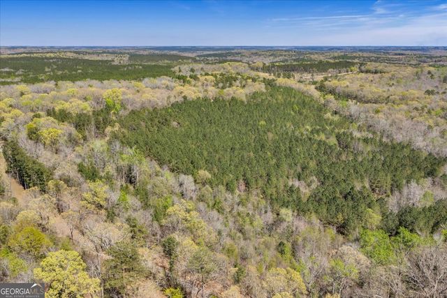 3601 Stuckey Road, Danville, GA 31017