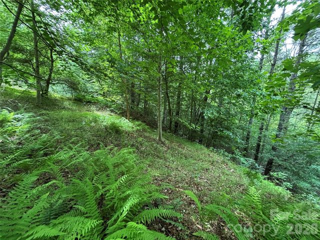 TBD Heartwood Drive 41, Collettsville, NC 28611
