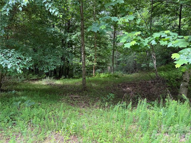 TBD Heartwood Drive 41, Collettsville, NC 28611