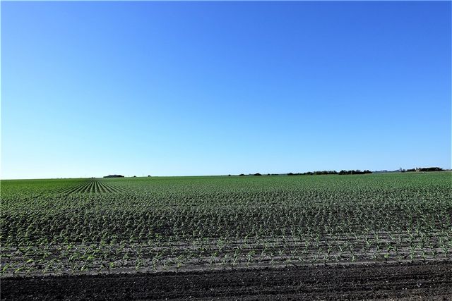 0 Fm 893, Portland, TX 78374