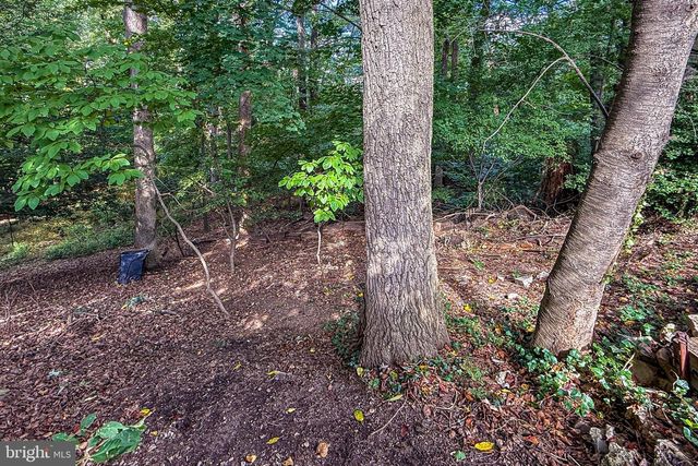 204 S ABINGDON ST, Arlington, VA 22204