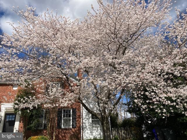 204 S ABINGDON ST, Arlington, VA 22204