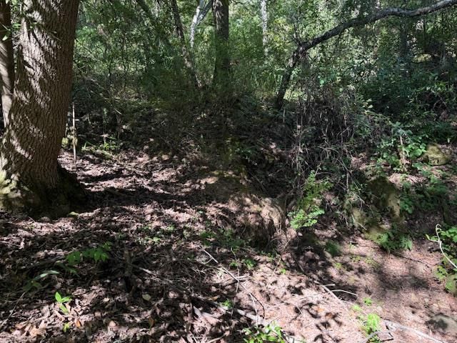 0 Canyon Vista, Los Gatos, CA 95033