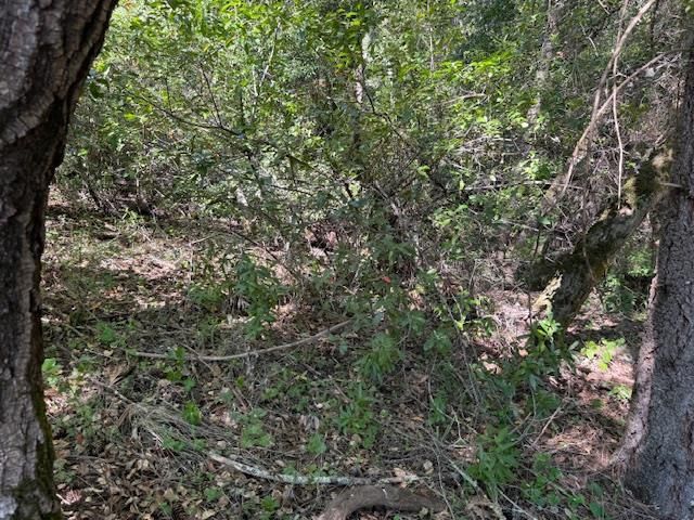 0 Canyon Vista, Los Gatos, CA 95033