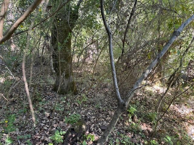 0 Canyon Vista, Los Gatos, CA 95033