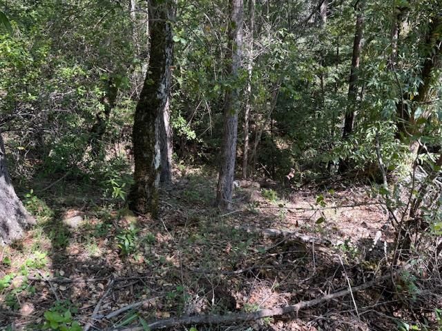 0 Canyon Vista, Los Gatos, CA 95033