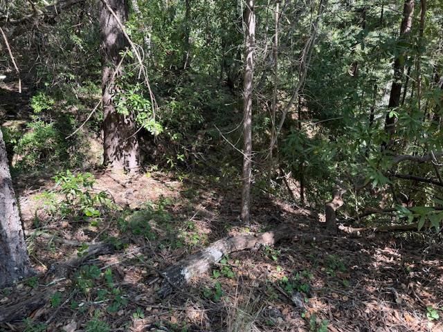 0 Canyon Vista, Los Gatos, CA 95033