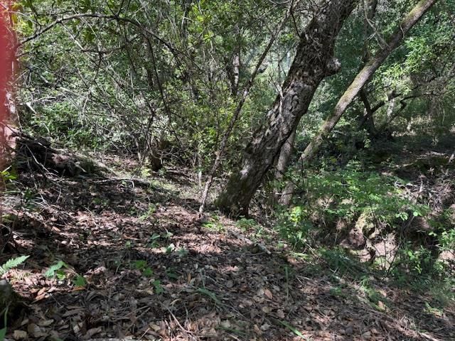 0 Canyon Vista, Los Gatos, CA 95033