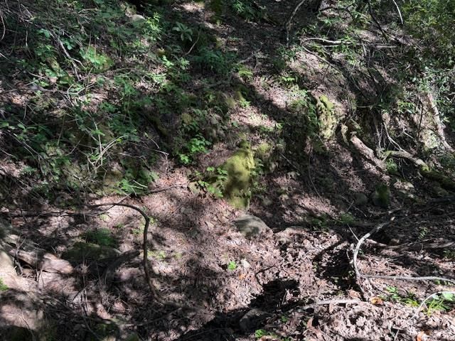 0 Canyon Vista, Los Gatos, CA 95033