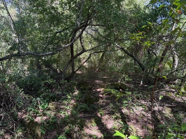 0 Canyon Vista, Los Gatos, CA 95033