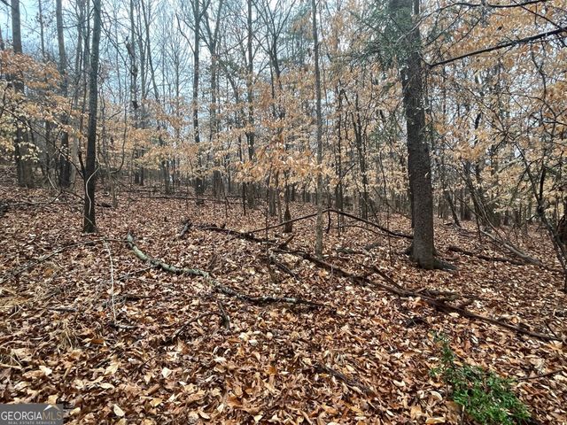 LOT 942 Birdie Court, Westminster, SC 29693