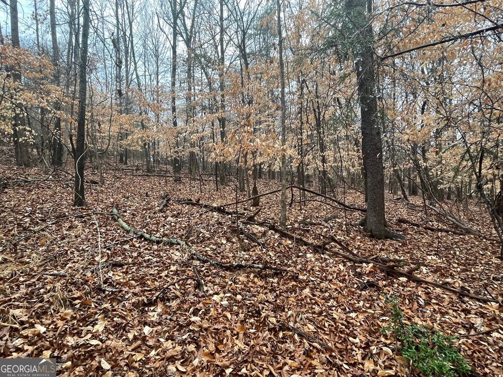 LOT 942 Birdie Court, Westminster, SC 29693 — photo 2
