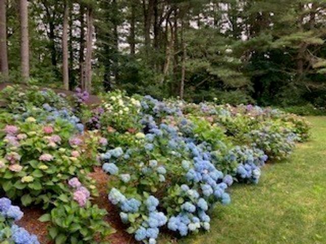 32 Moore Road, Wayland, MA 01778