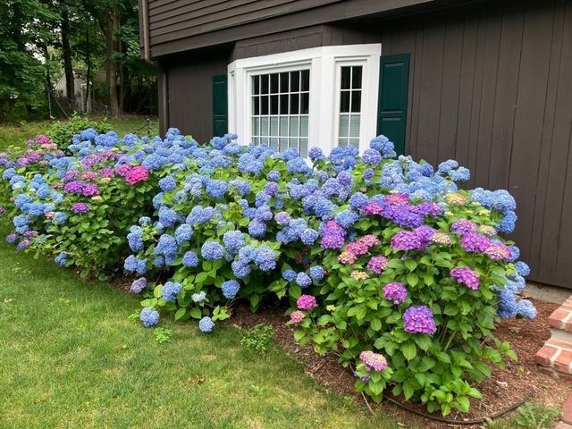 32 Moore Road, Wayland, MA 01778