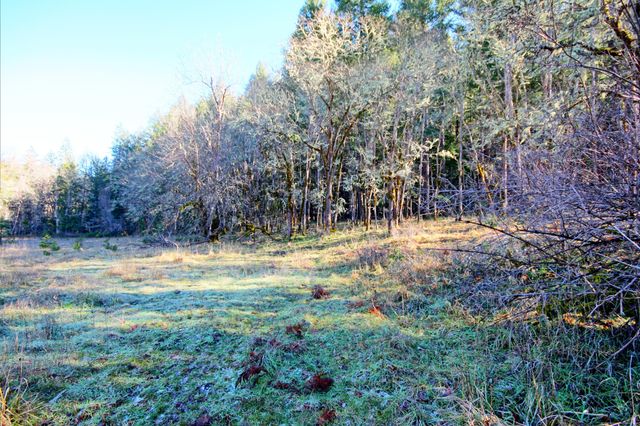 5000 Thompson Creek Road, Applegate, OR 97530