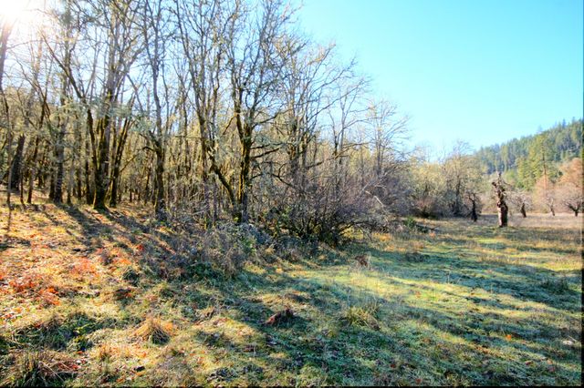5000 Thompson Creek Road, Applegate, OR 97530
