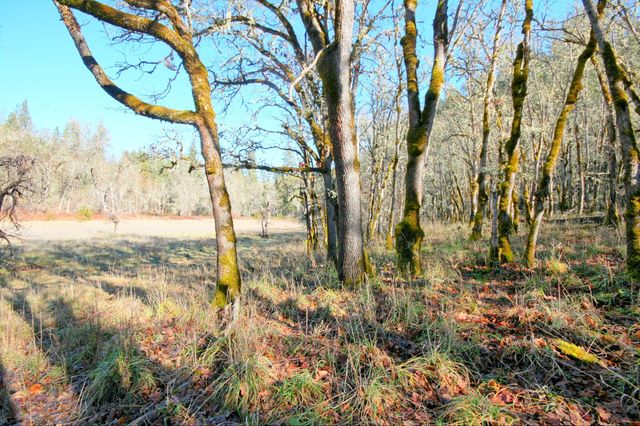 5000 Thompson Creek Road, Applegate, OR 97530