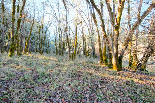 5000 Thompson Creek Road, Applegate, OR 97530