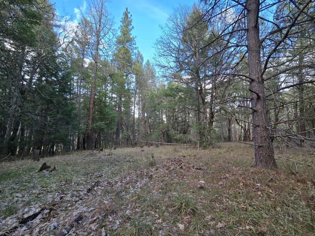 5000 Thompson Creek Road, Applegate, OR 97530