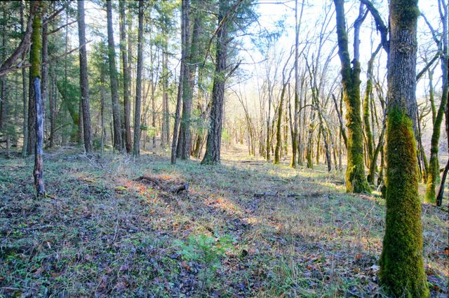 5000 Thompson Creek Road, Applegate, OR 97530