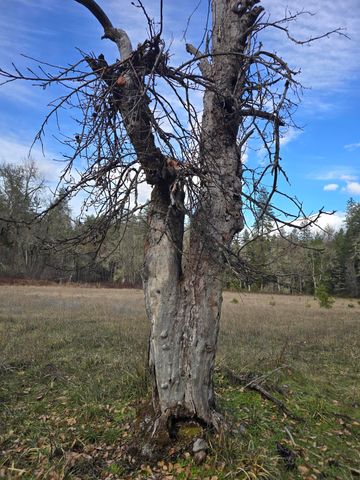 5000 Thompson Creek Road, Applegate, OR 97530