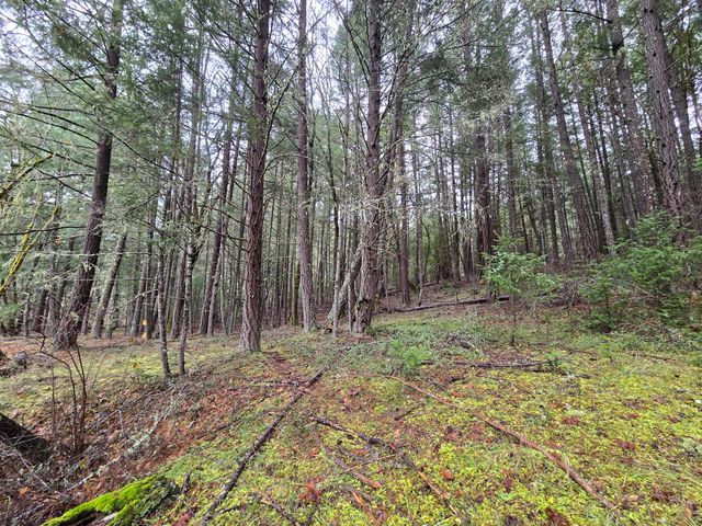 5000 Thompson Creek Road, Applegate, OR 97530