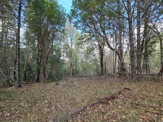 5000 Thompson Creek Road, Applegate, OR 97530