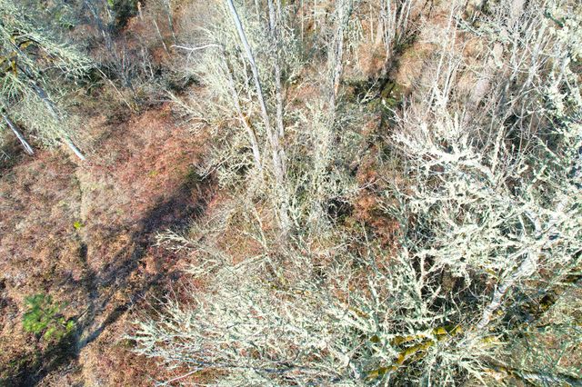 5000 Thompson Creek Road, Applegate, OR 97530