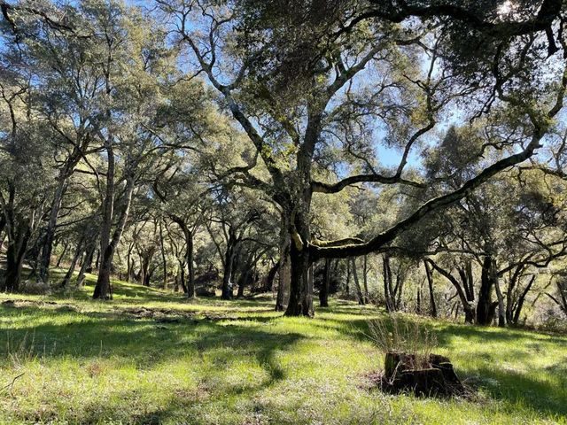 10 Garzas Trail, Carmel Valley, CA 93923