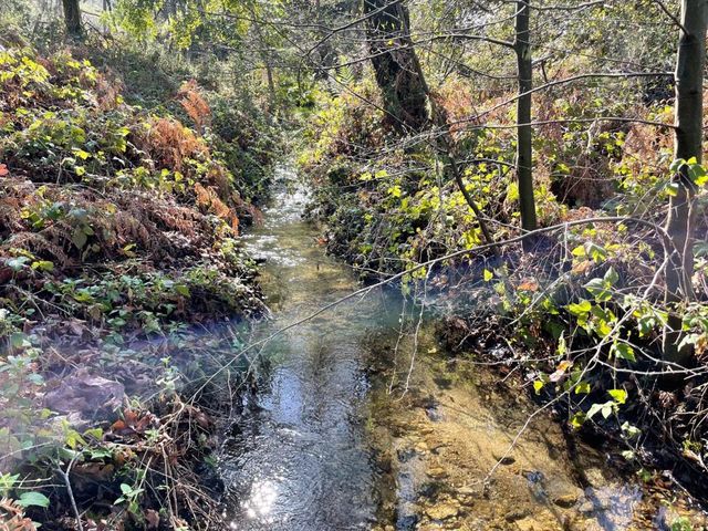 10 Garzas Trail, Carmel Valley, CA 93923