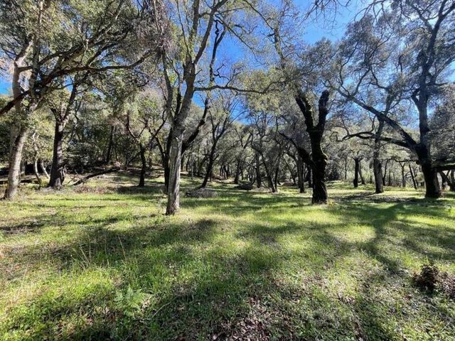 10 Garzas Trail, Carmel Valley, CA 93923