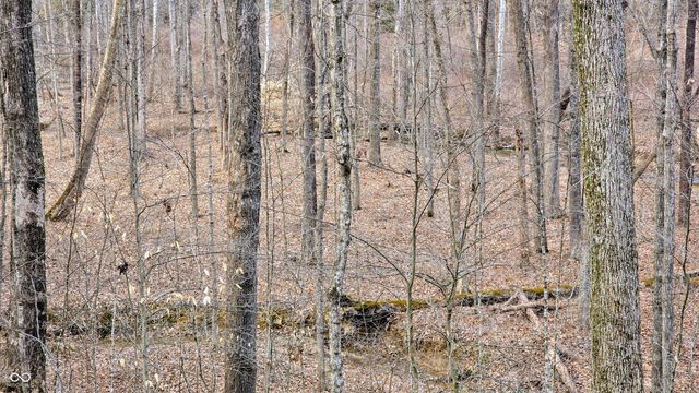 11000 N County Road 650 W, Freetown, IN 47235