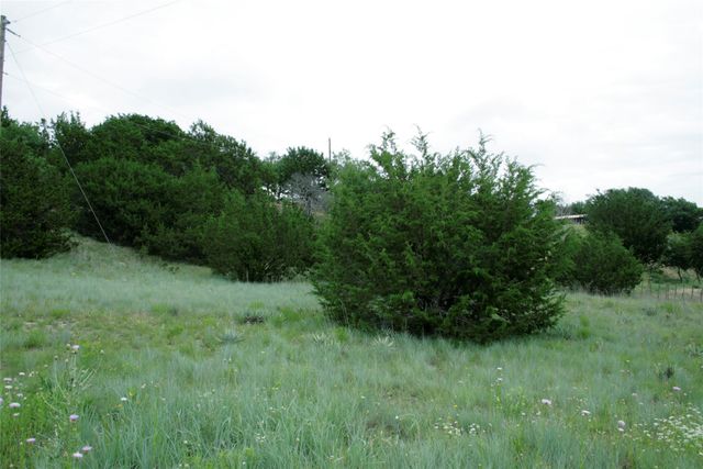 652 Woodhaven Drive, Springtown, TX 76082