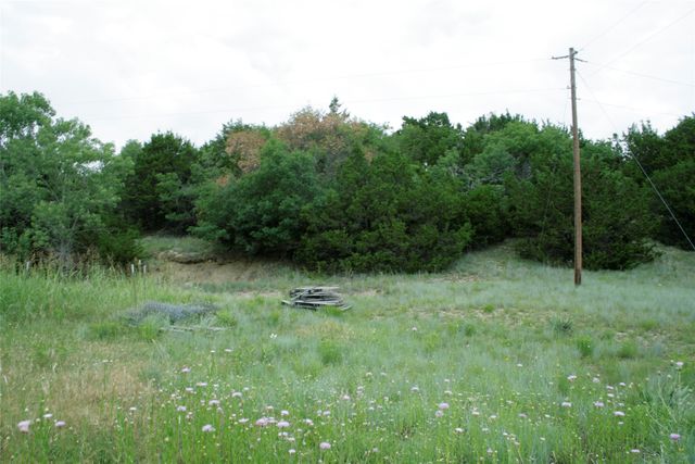 652 Woodhaven Drive, Springtown, TX 76082