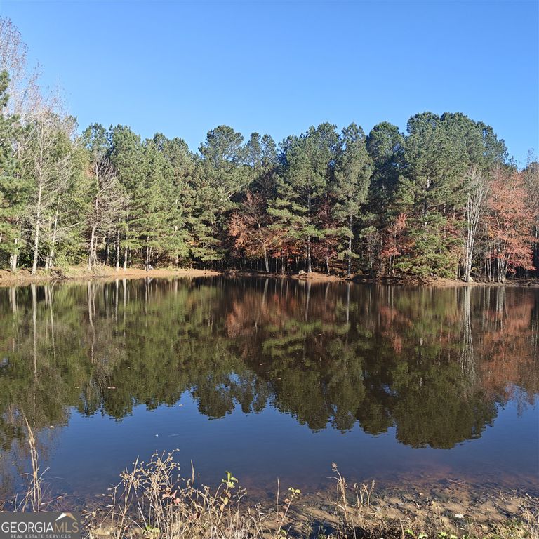 461 Mcdonough Road, Hampton, GA 30228