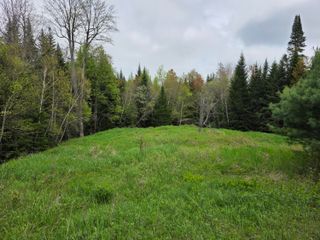 00 Tyler Road, Vermontville, NY 12989