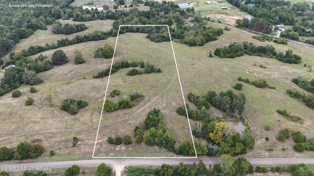 11.05 Bub Jamison Road, Coldwater, MS 38618 — photo 3