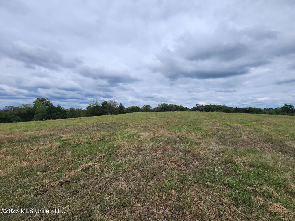 11.05 Bub Jamison Road, Coldwater, MS 38618 — photo 4