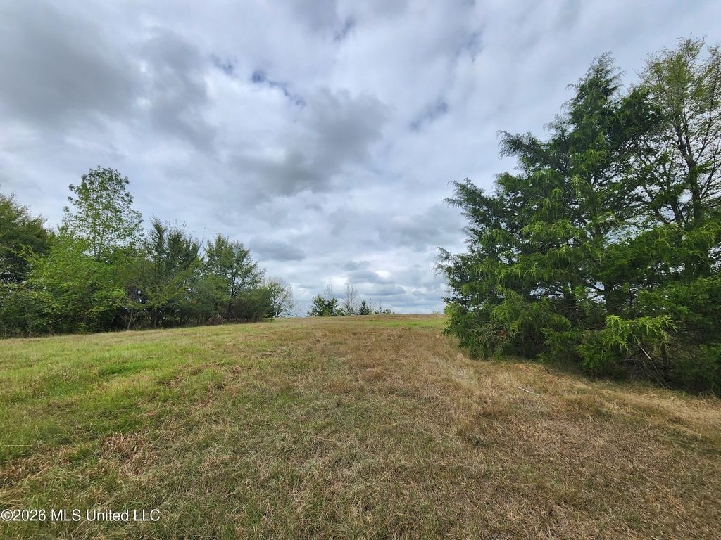 11.05 Bub Jamison Road, Coldwater, MS 38618 — photo 5