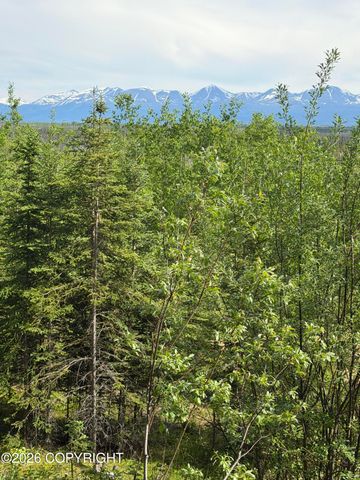 36210 Cottontree Lane, Sterling, AK 99672