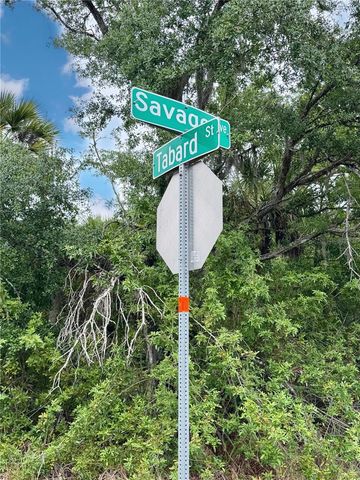 18039 SAVAGE AVENUE, Port Charlotte, FL 33948