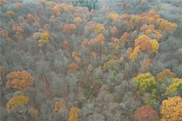 216 E Portersville Rd, Muddy Creek Twp, PA 16051