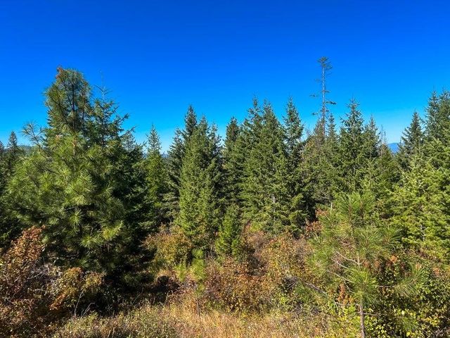 52XX Lot 5 S Swenson Rd, Deer Park, WA 99006