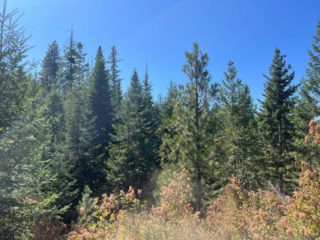 52XX Lot 5 S Swenson Rd, Deer Park, WA 99006