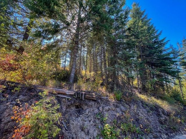 52XX Lot 5 S Swenson Rd, Deer Park, WA 99006