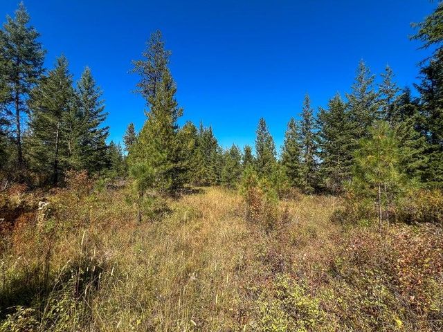 52XX Lot 5 S Swenson Rd, Deer Park, WA 99006