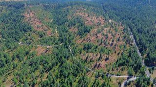 52XX Lot 5 S Swenson Rd, Deer Park, WA 99006