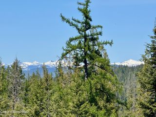 161 Brightwater LN, Sandpoint, ID 83864