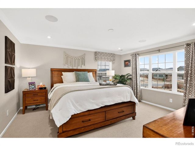 491 Silver Crown Court, Erie, CO 80516