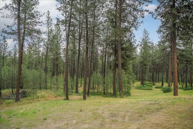 9114 S Thomas Mallen Rd, Cheney, WA 99004